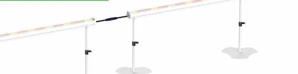 U Series Under Canopy Light